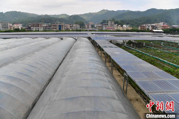 福建永定：光伏發(fā)電點亮減貧路